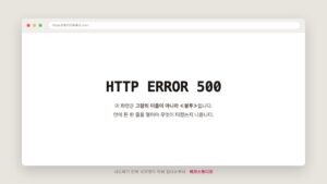 HTTP ERROR 500 — 시도하기 전에 «무엇이 적혀 있나»부터